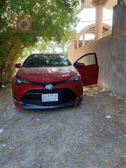 تويوتا كورولا